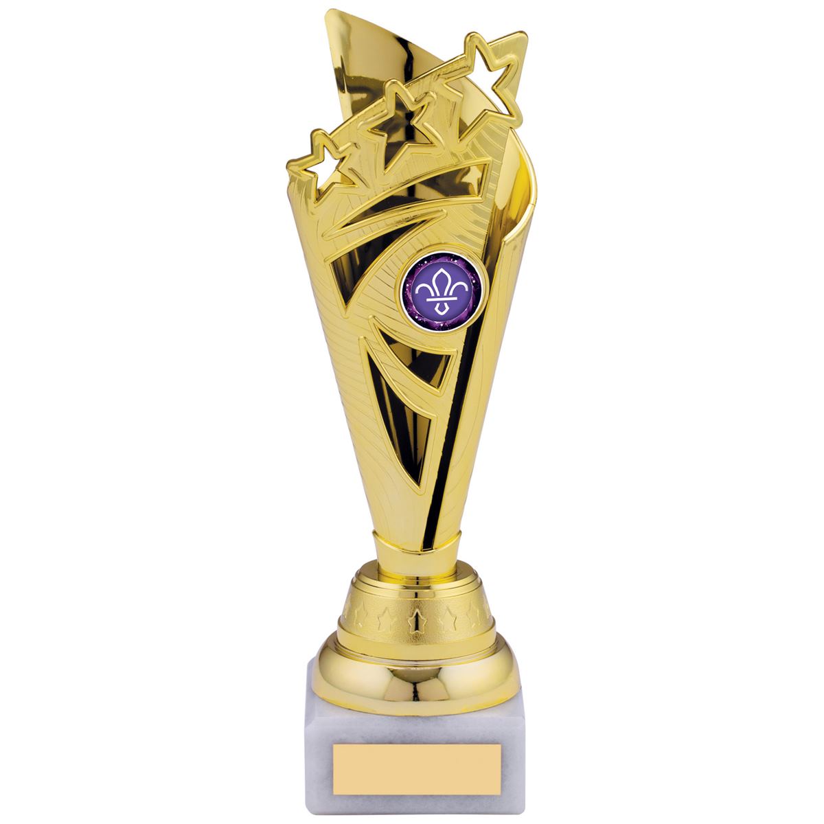 Gold Cone Trophy Multisport Award