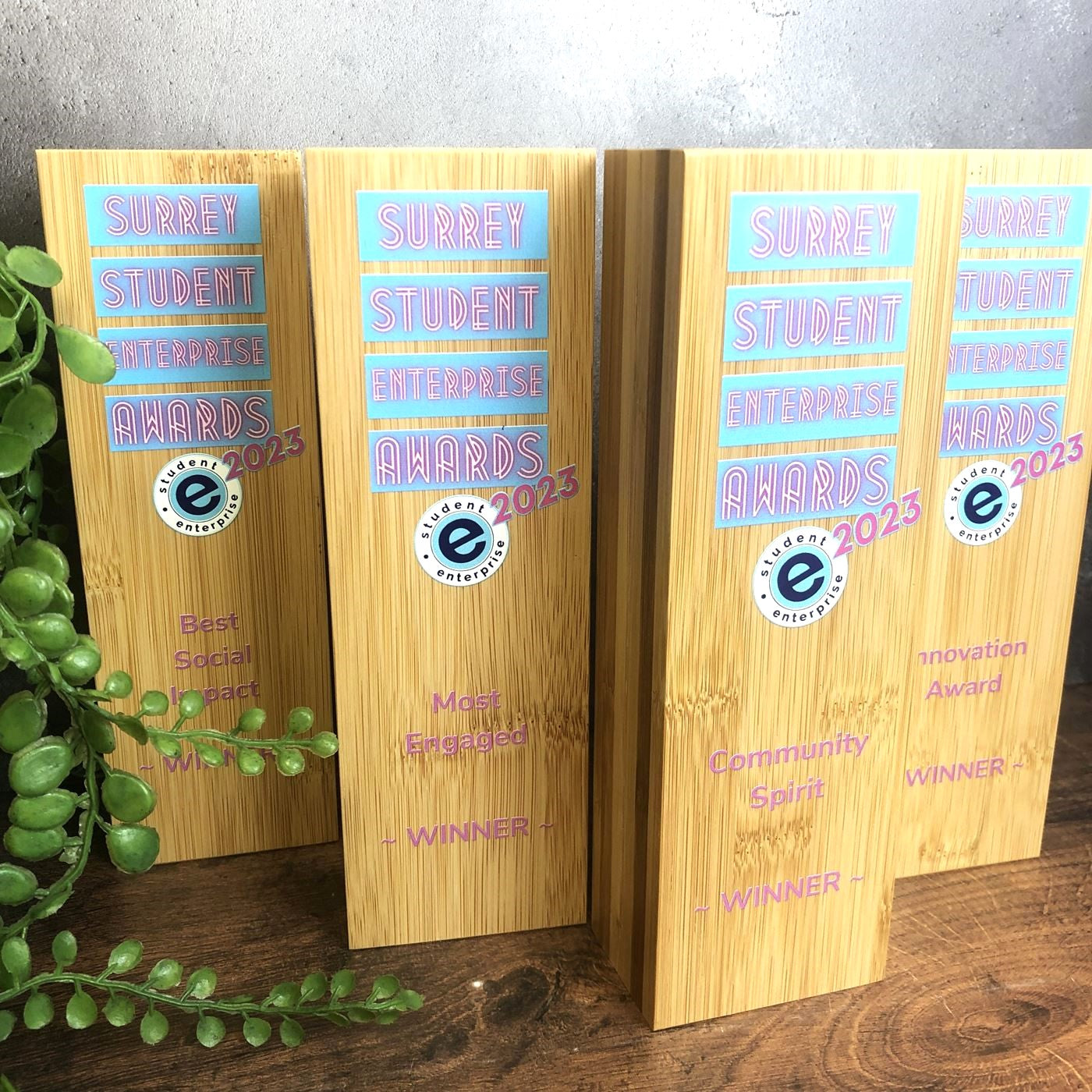 Bamboo Wooden Pillar Award - Large - Colour Printed