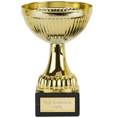 Budget Gold Winners Trophy Cup Berne Presentation Award