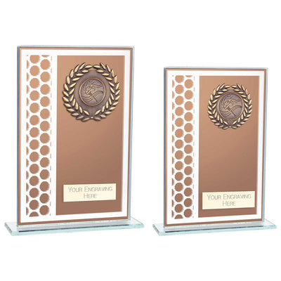 Titanium Glass Award in Bronze