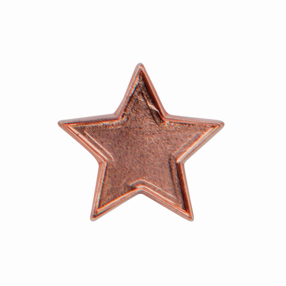 Bronze Star Pin Badge North East Trophies