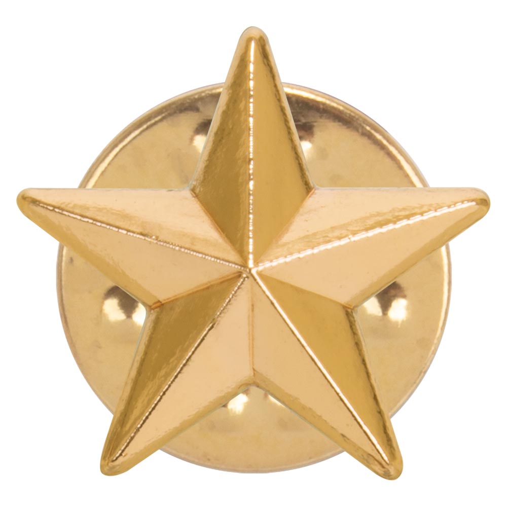 3D Gold Star Pin Badge North East Trophies