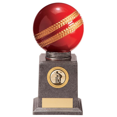 Valiant Legend Cricket Ball Award