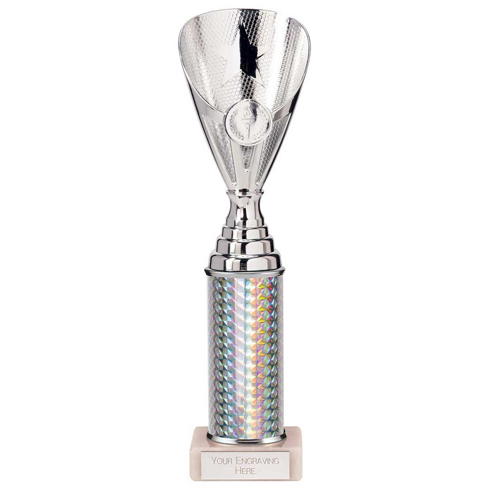 Rising Stars Plastic Trophy in Silver