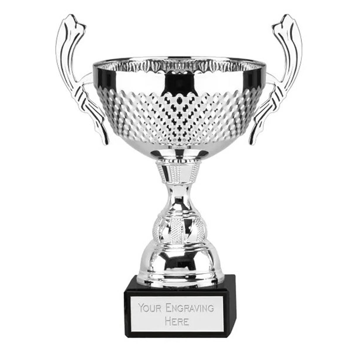 turin silver presentation trophy cup