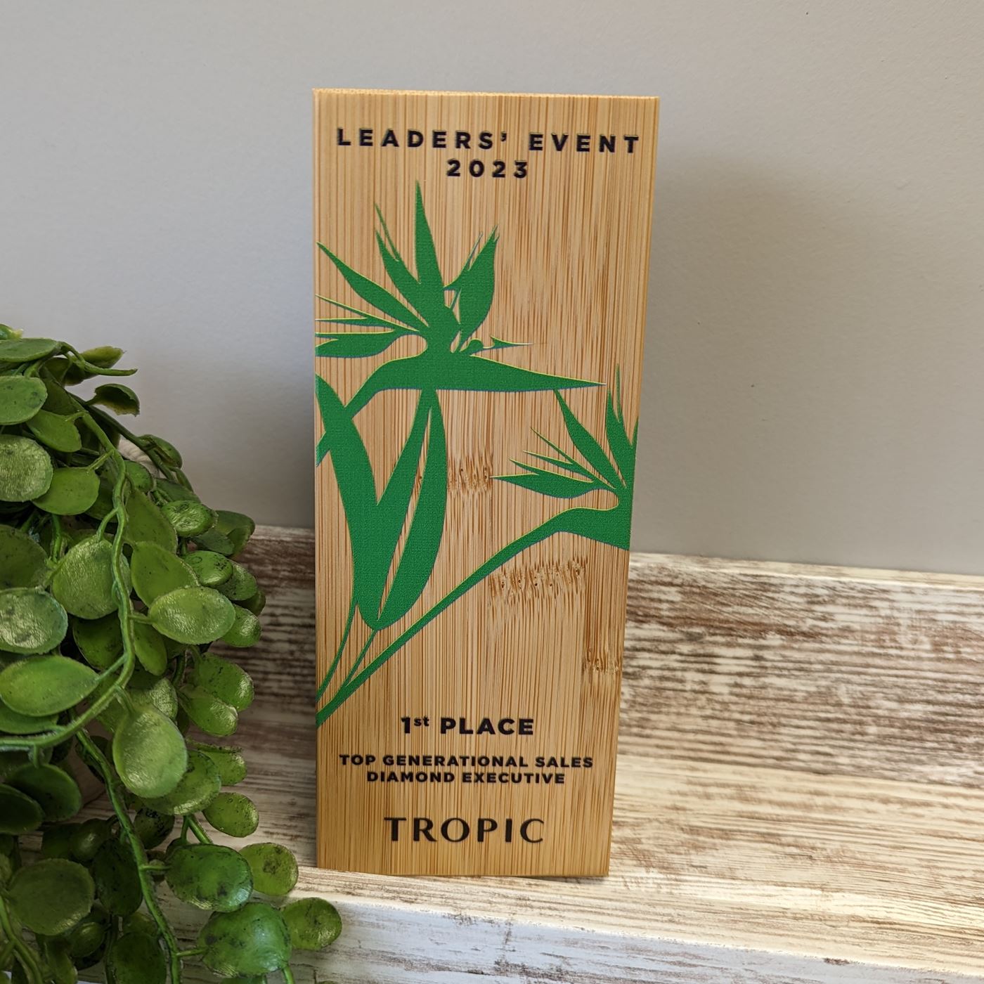 Copy Of Bamboo Wooden Block Award 1