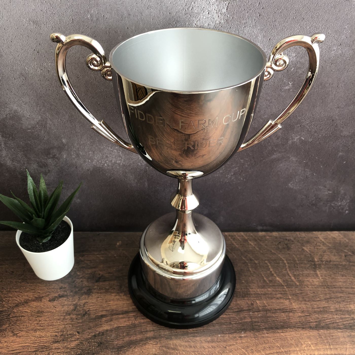 silver cast metal presentation trophy cup