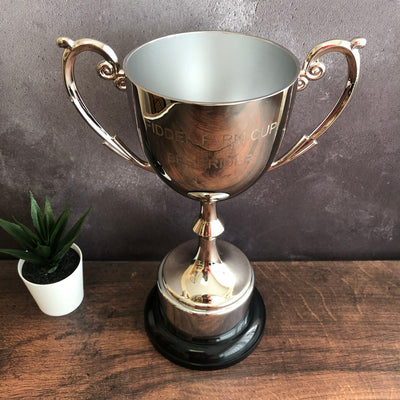 silver cast metal presentation trophy cup