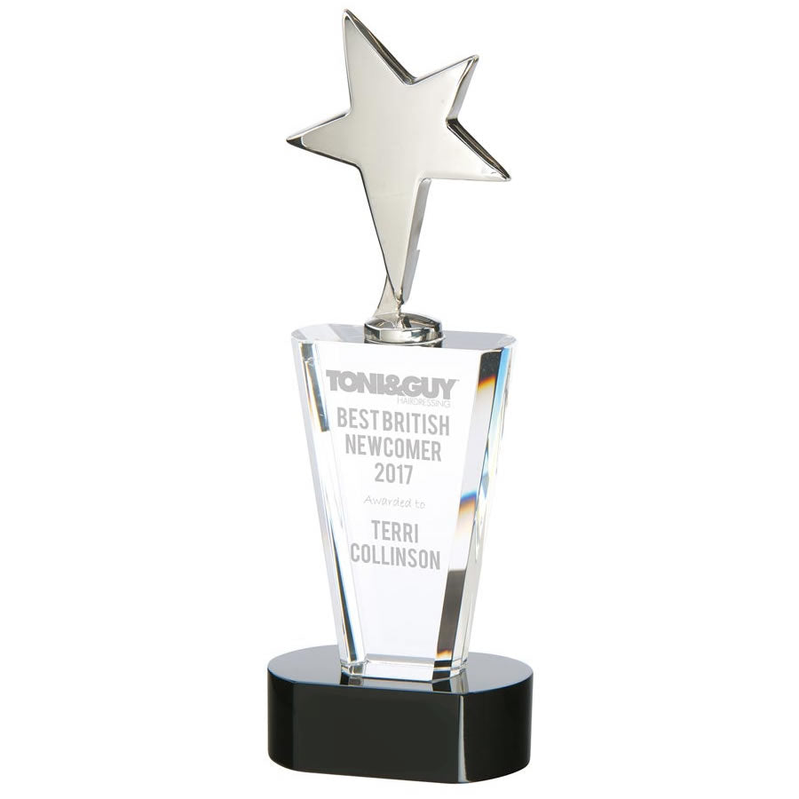 Chicago Crystal Chrome Star Award