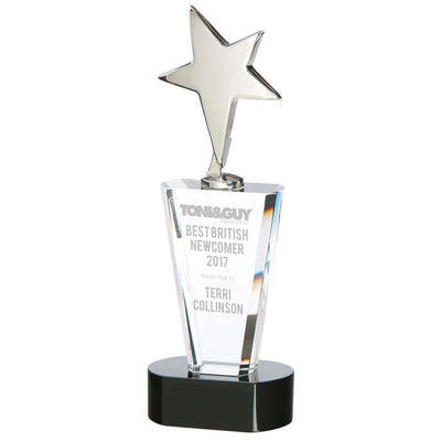 Chicago Crystal Chrome Star Award