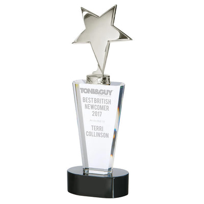 Chicago Crystal Chrome Star Award
