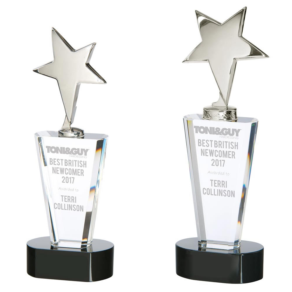 Chicago Crystal Chrome Star Award