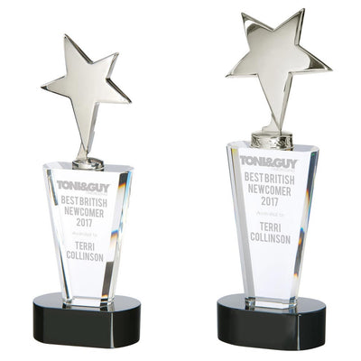Chicago Crystal Chrome Star Award