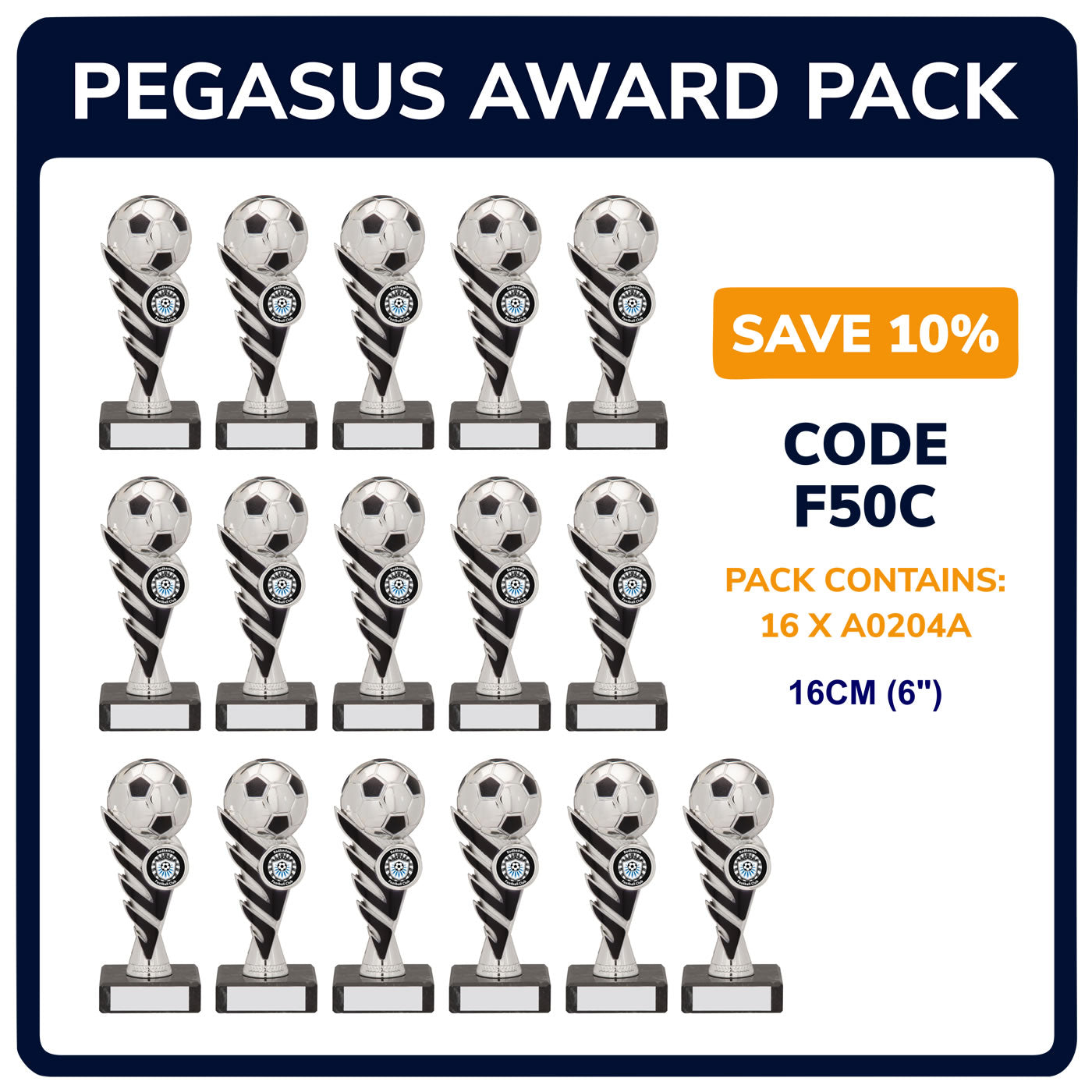 Pegasus Trophy Team Awards Pack in Metallic Silver - Pack of 16
