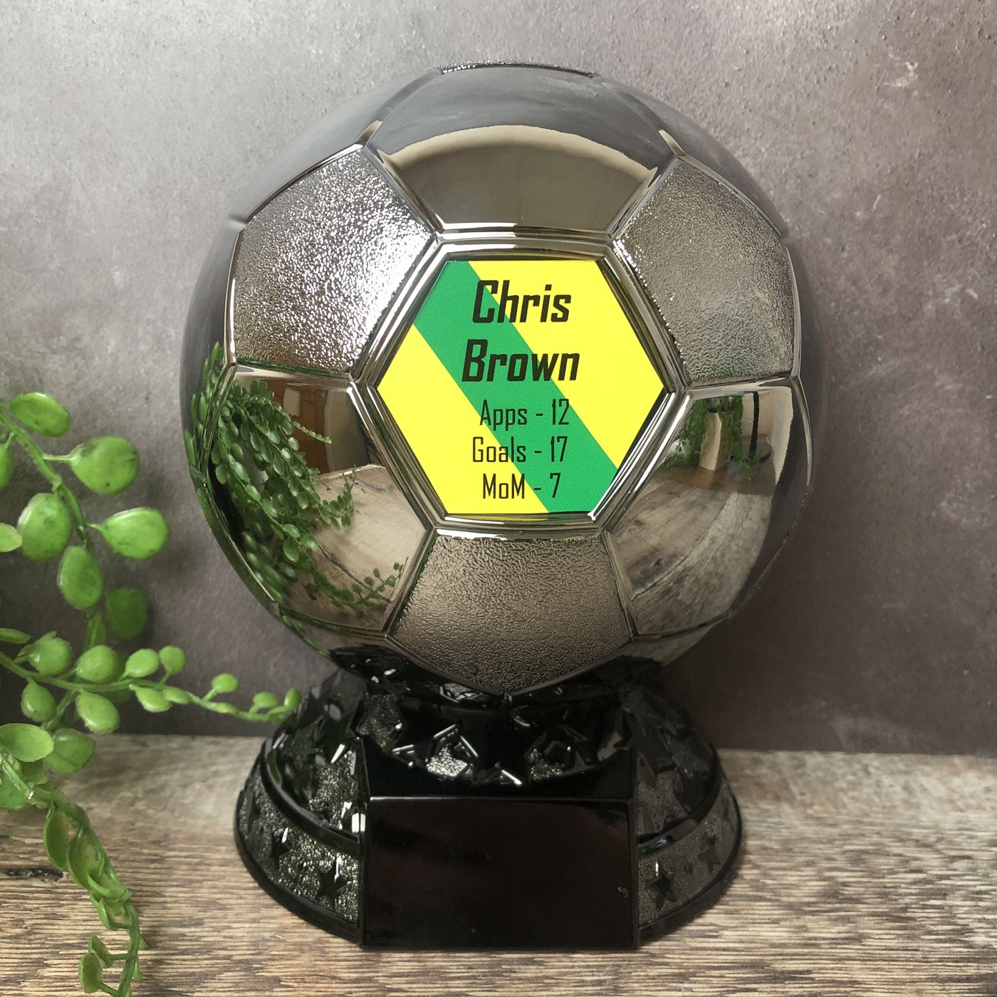 Elite Football Trophy Award - Add your Logo or Club Badge