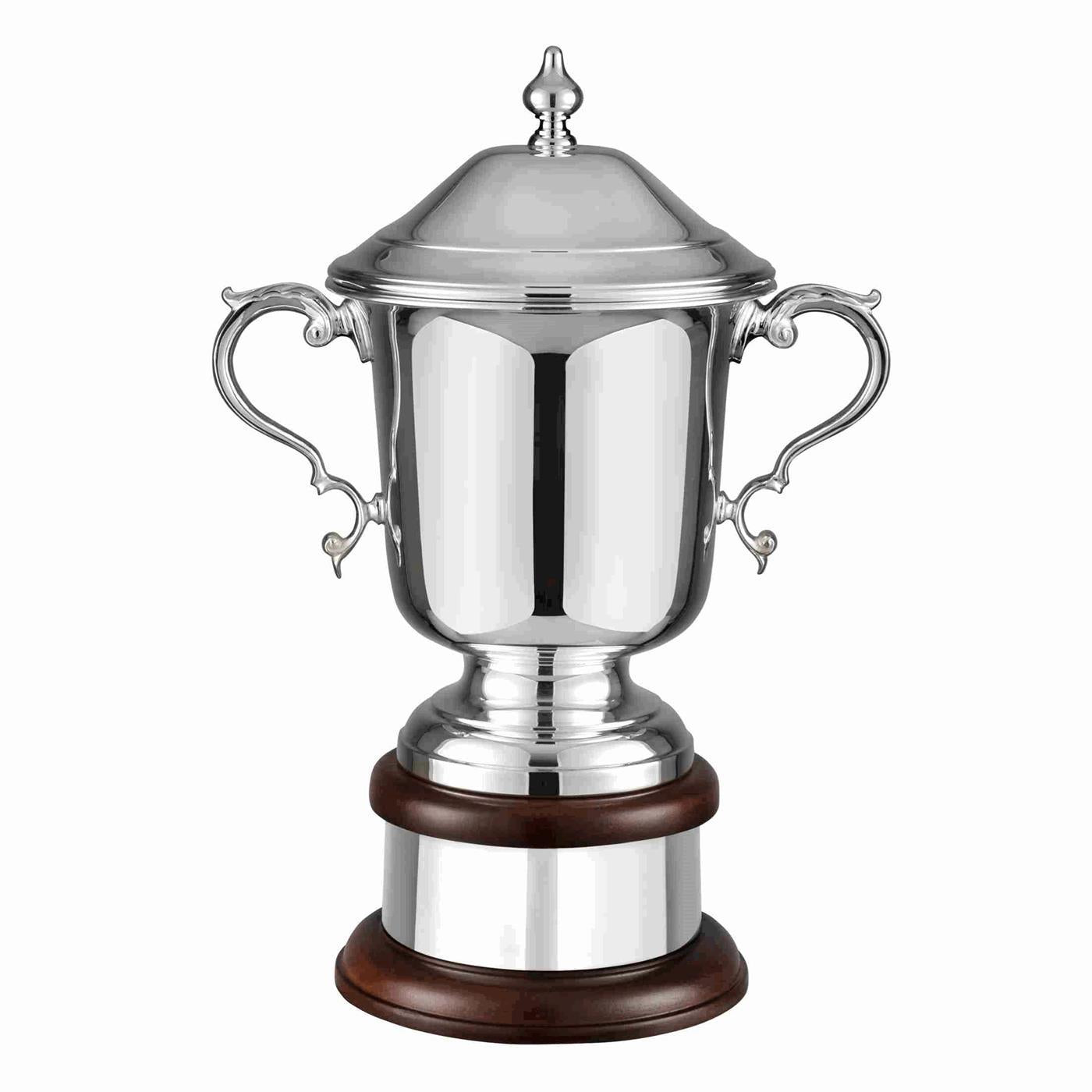 Swatkins Supreme League Champions Silver Plated Award Trophy