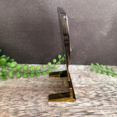 Mini Fusion Cobra 1St Place Trophy Award