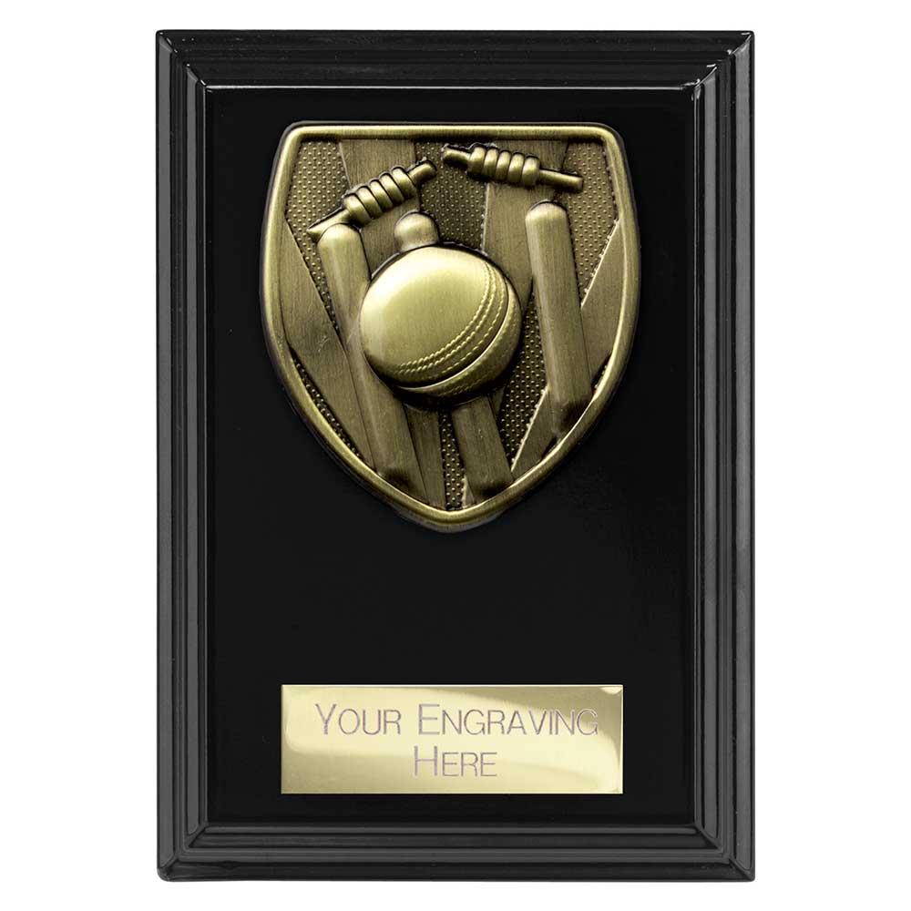 Cobra Cricket Award Plaque Epic Black