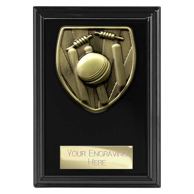 Cobra Cricket Award Plaque Epic Black