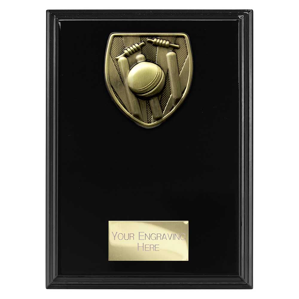 Cobra Cricket Award Plaque Epic Black
