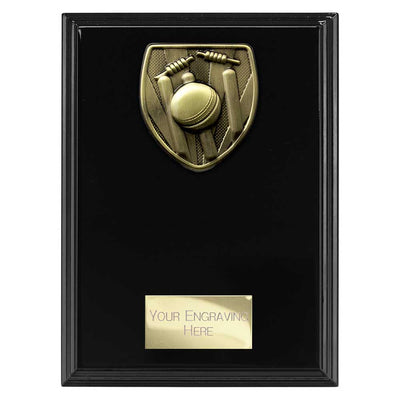 Cobra Cricket Award Plaque Epic Black