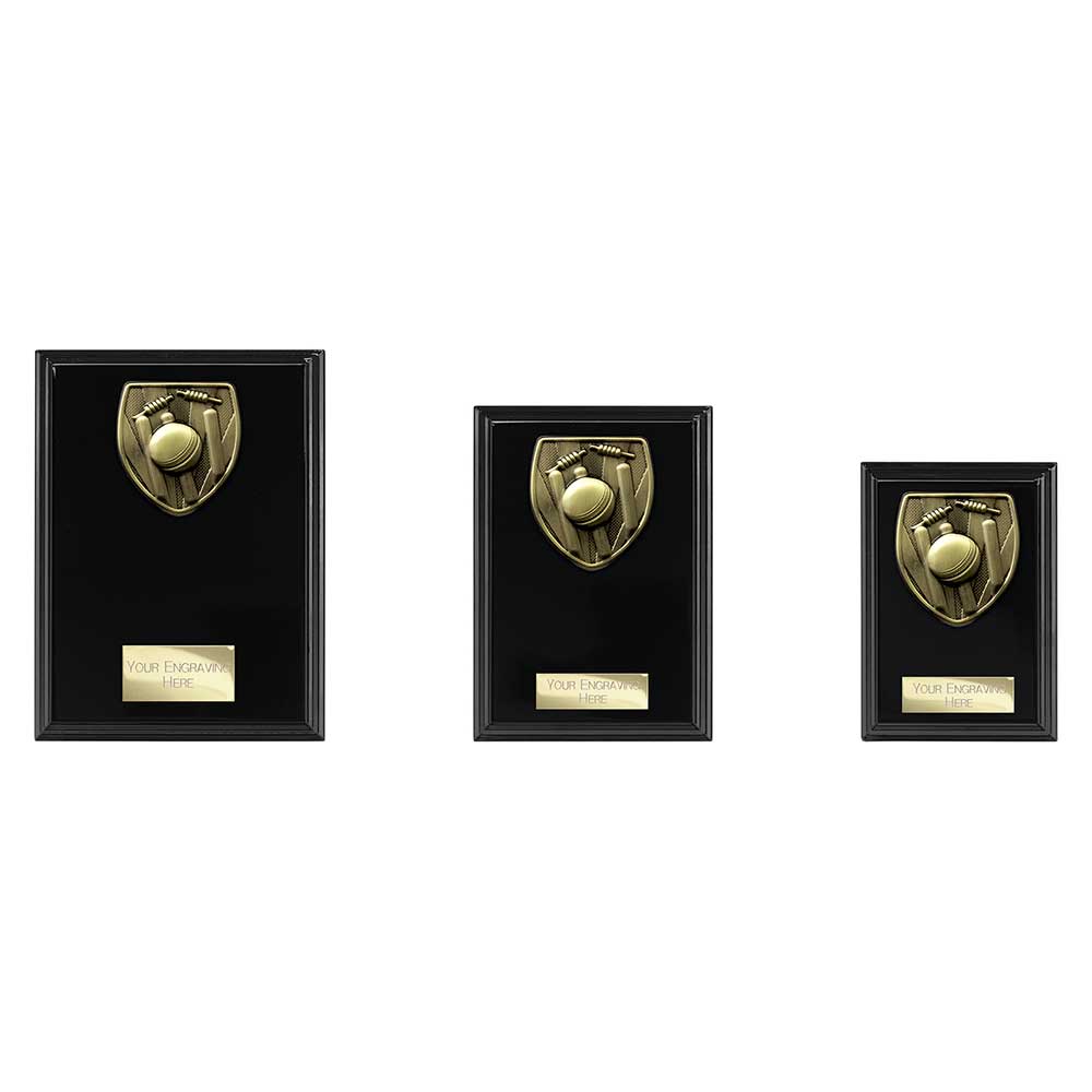 Cobra Cricket Award Plaque Epic Black