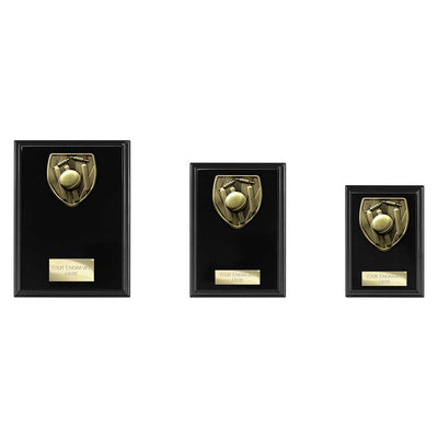 Cobra Cricket Award Plaque Epic Black