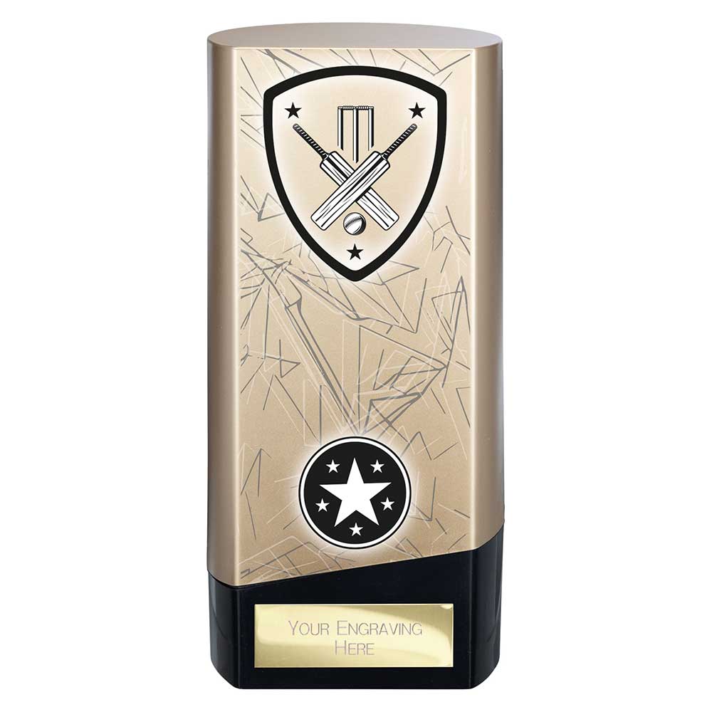 Prime Cricket Trophy Award Heavyweight Gold And Black