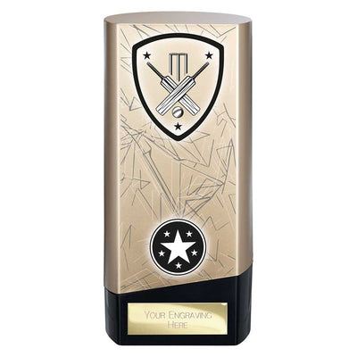 Prime Cricket Trophy Award Heavyweight Gold And Black