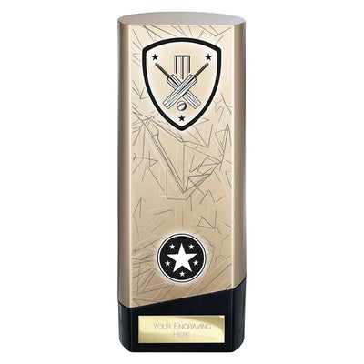Prime Cricket Trophy Award Heavyweight Gold And Black