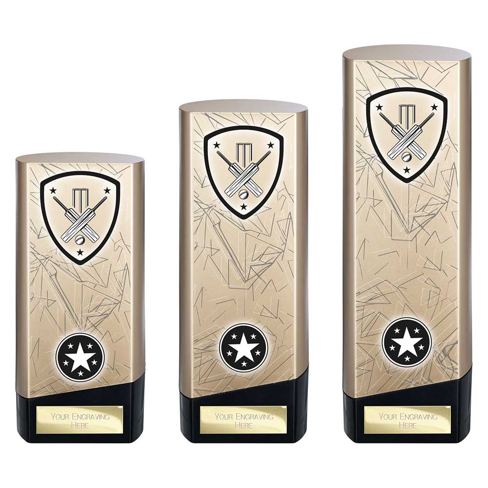 Prime Cricket Trophy Award Heavyweight Gold And Black