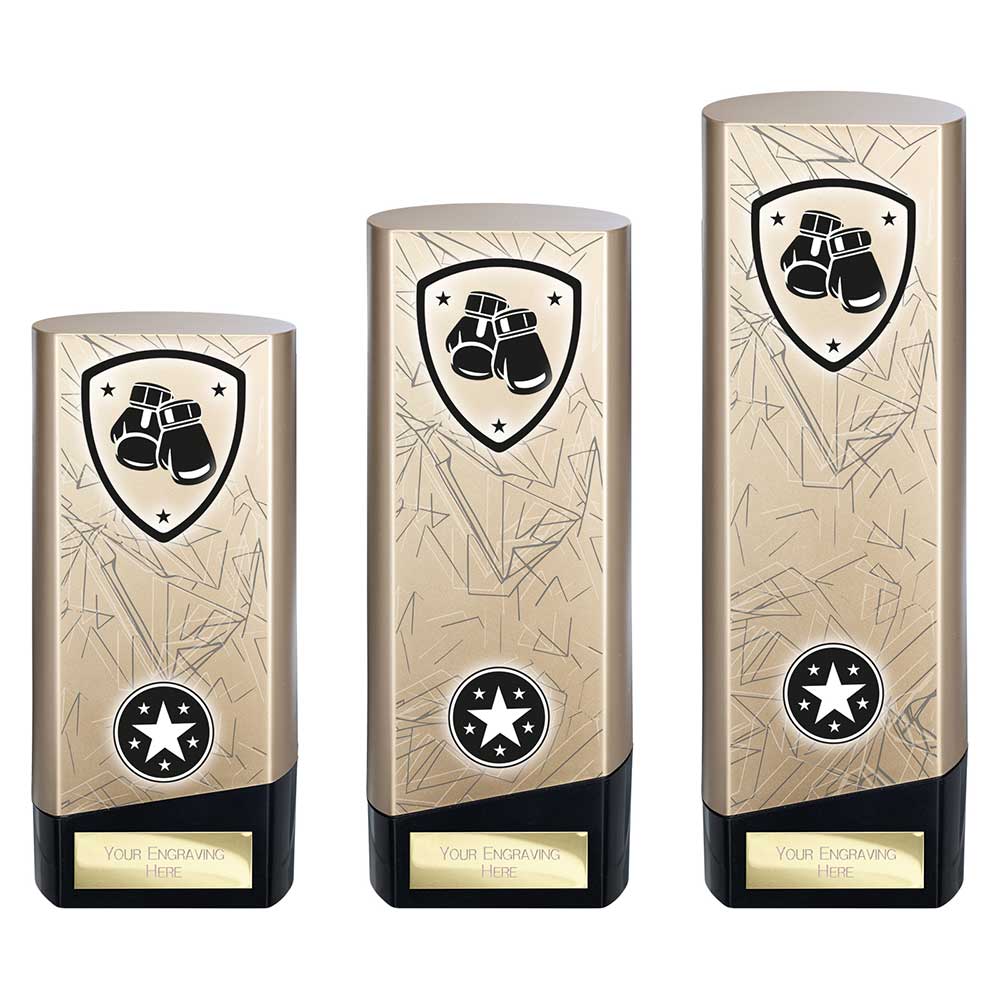Superstar Boxing Trophy Award Black And Gold