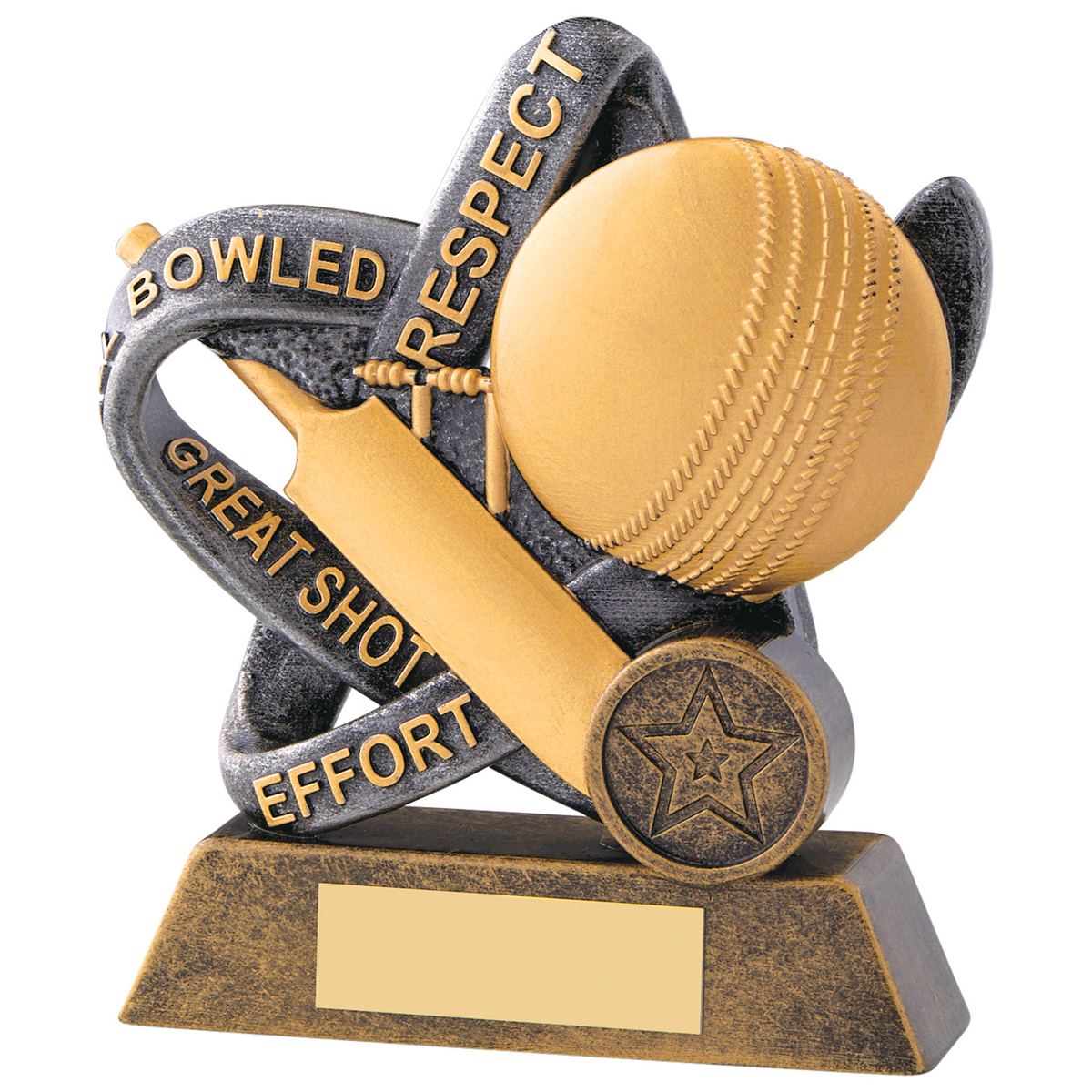 Cricket Values Trophy Infinity Award