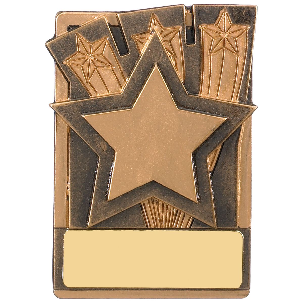 Star Fridge Magnet Award