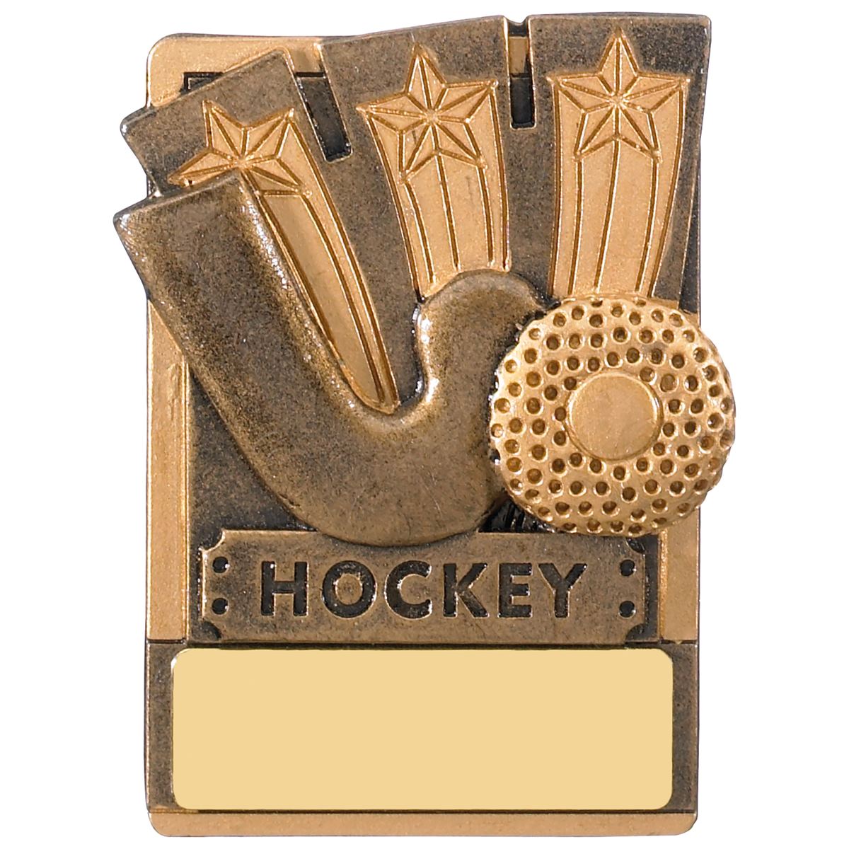 Hockey Fridge Magnet Award