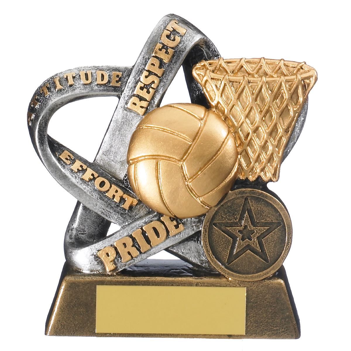 Netball Values Trophy Infinity Award