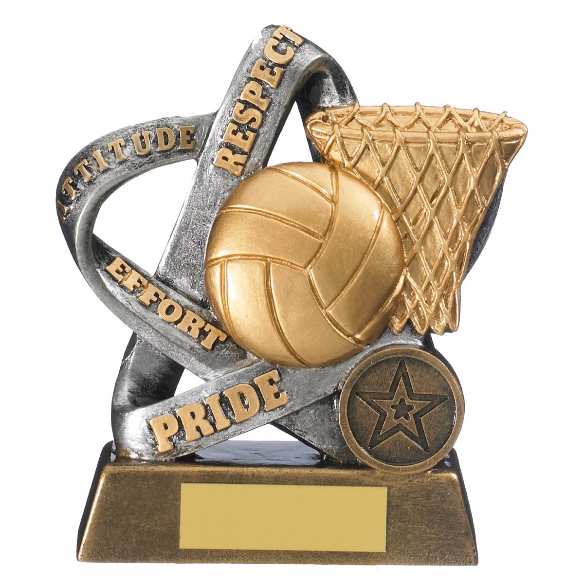 Netball Values Trophy Infinity Award