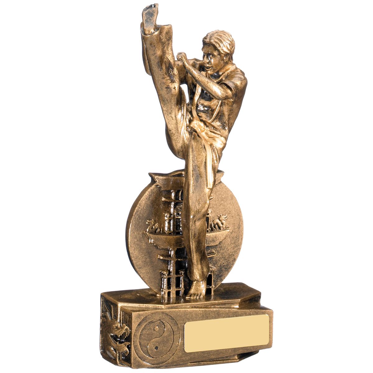 Martial Arts Trophy Karate and Taekwondo Award