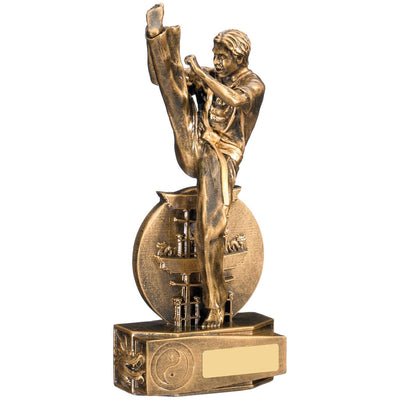 Martial Arts Trophy Karate and Taekwondo Award
