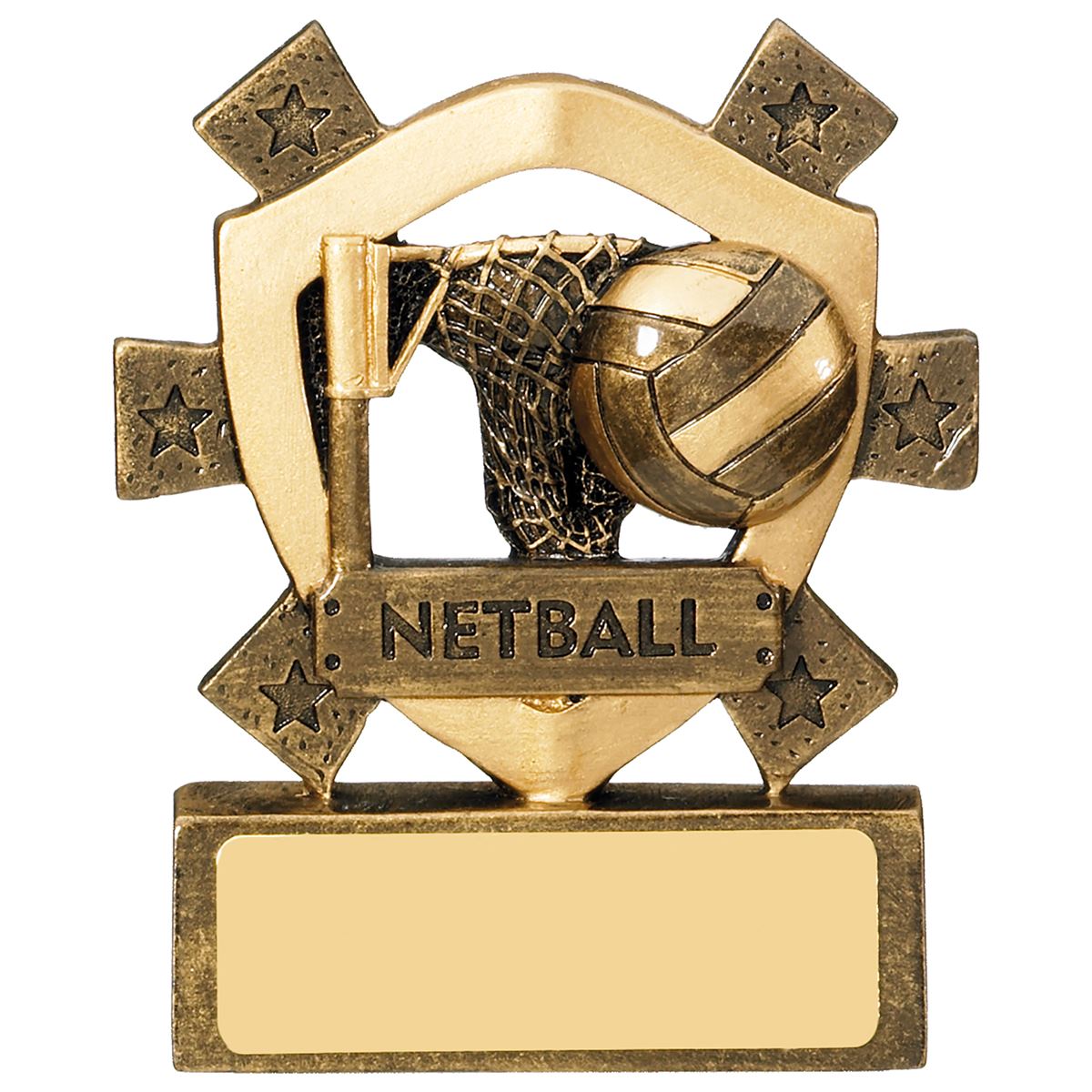 Netball Mini Shield Trophy