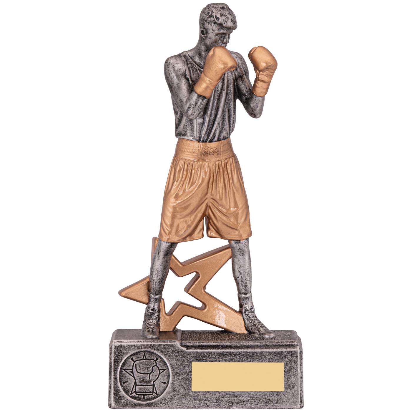 Boxing Abstract Trophy Boxer Male Trophy Award | North East Trophies