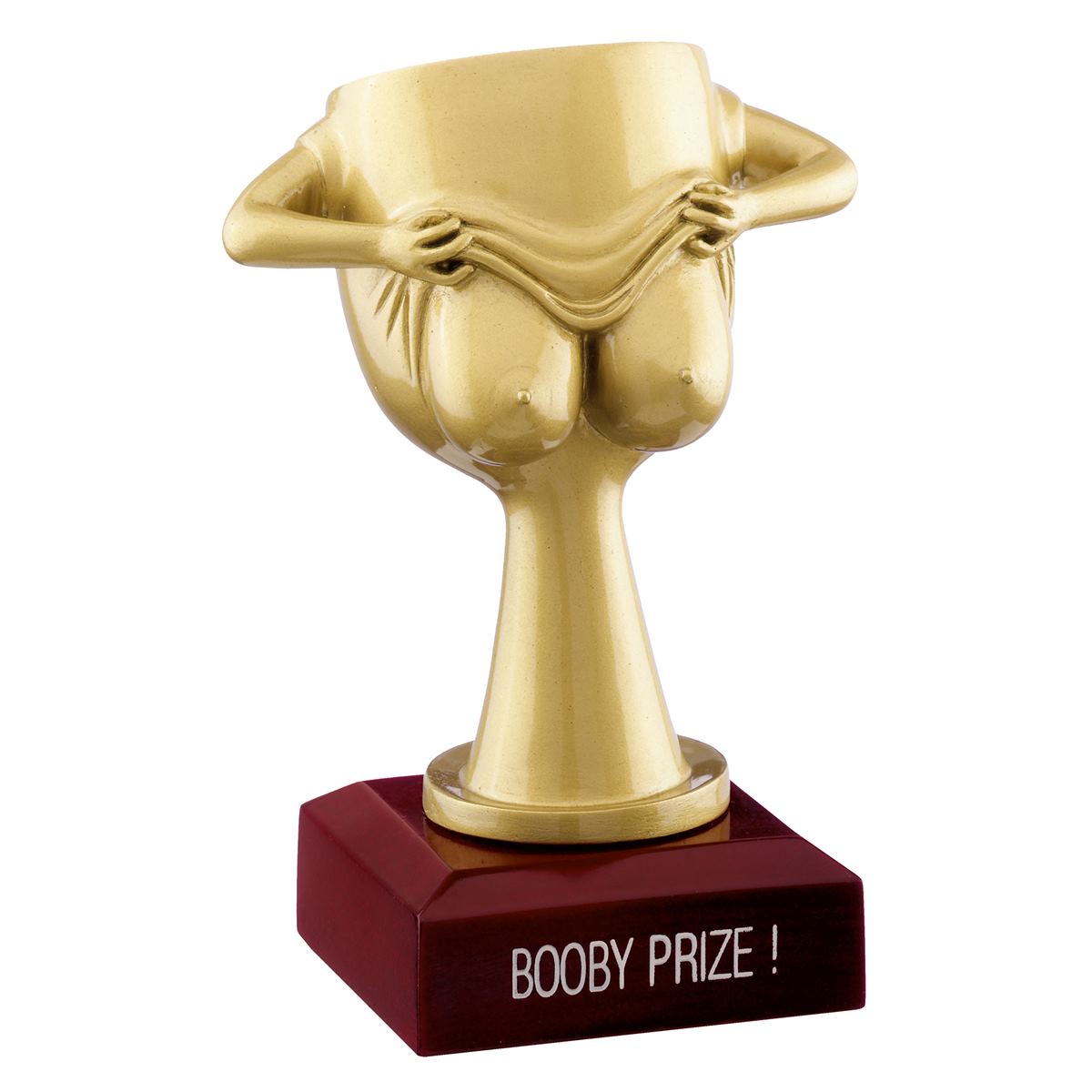 Booby Prize Trophy Novelty Award