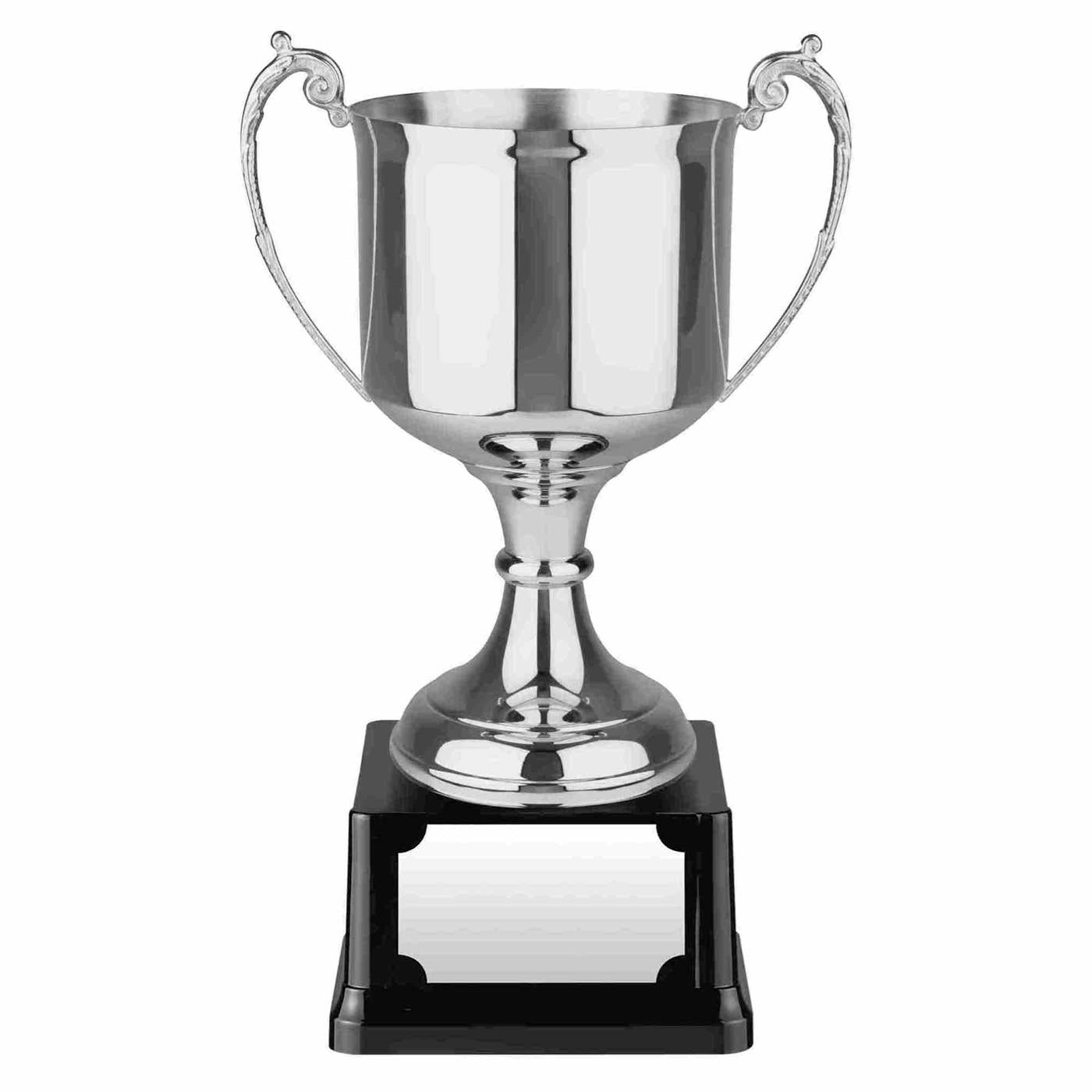 Swatkins Advocate Nickel Plated Trophy Cup Award  