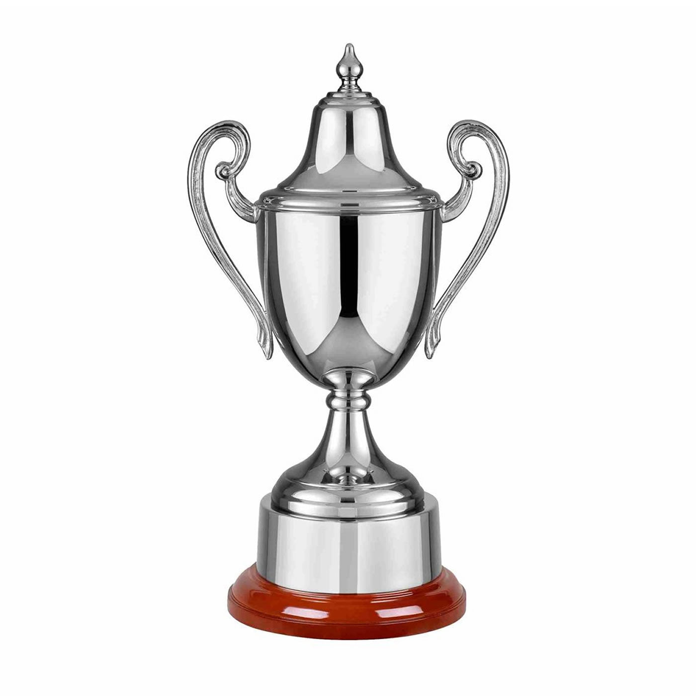 Swatkins Revolution Conquest Nickel Plated Trophy Cup Award  