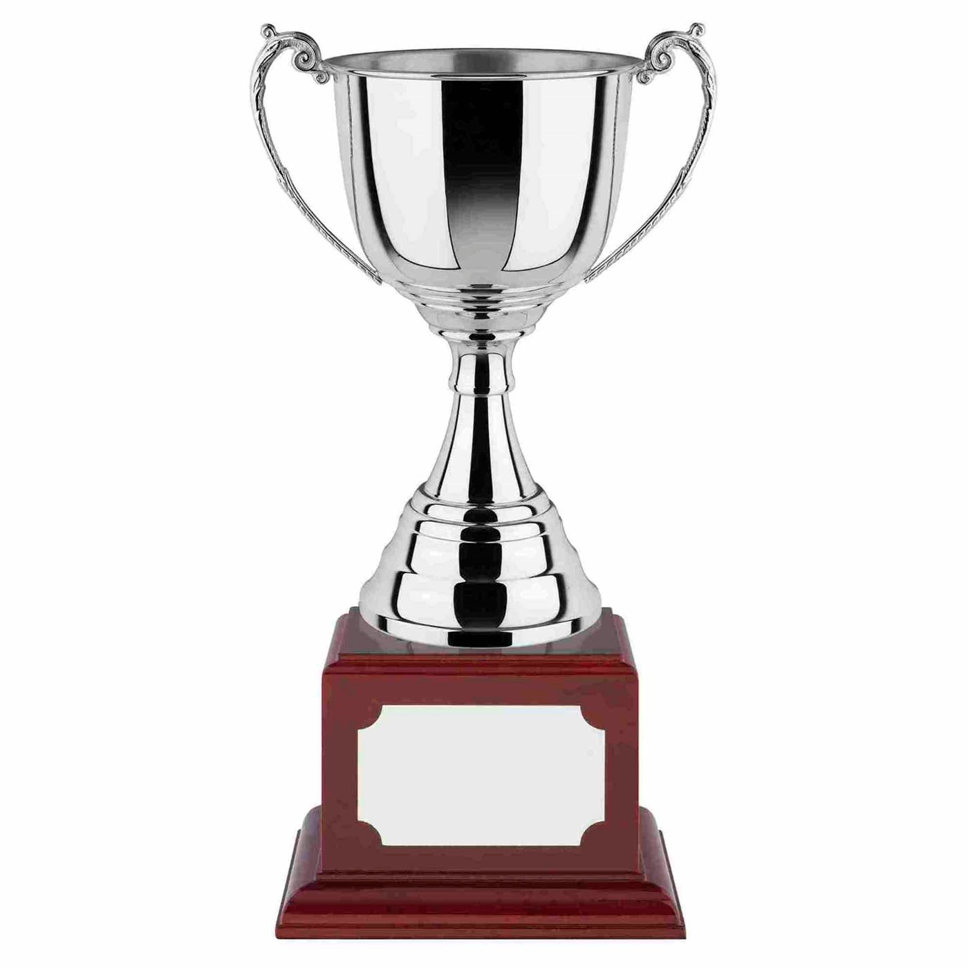 Swatkins Revolution 1 Series Nickel Plated Trophy Cup Award  