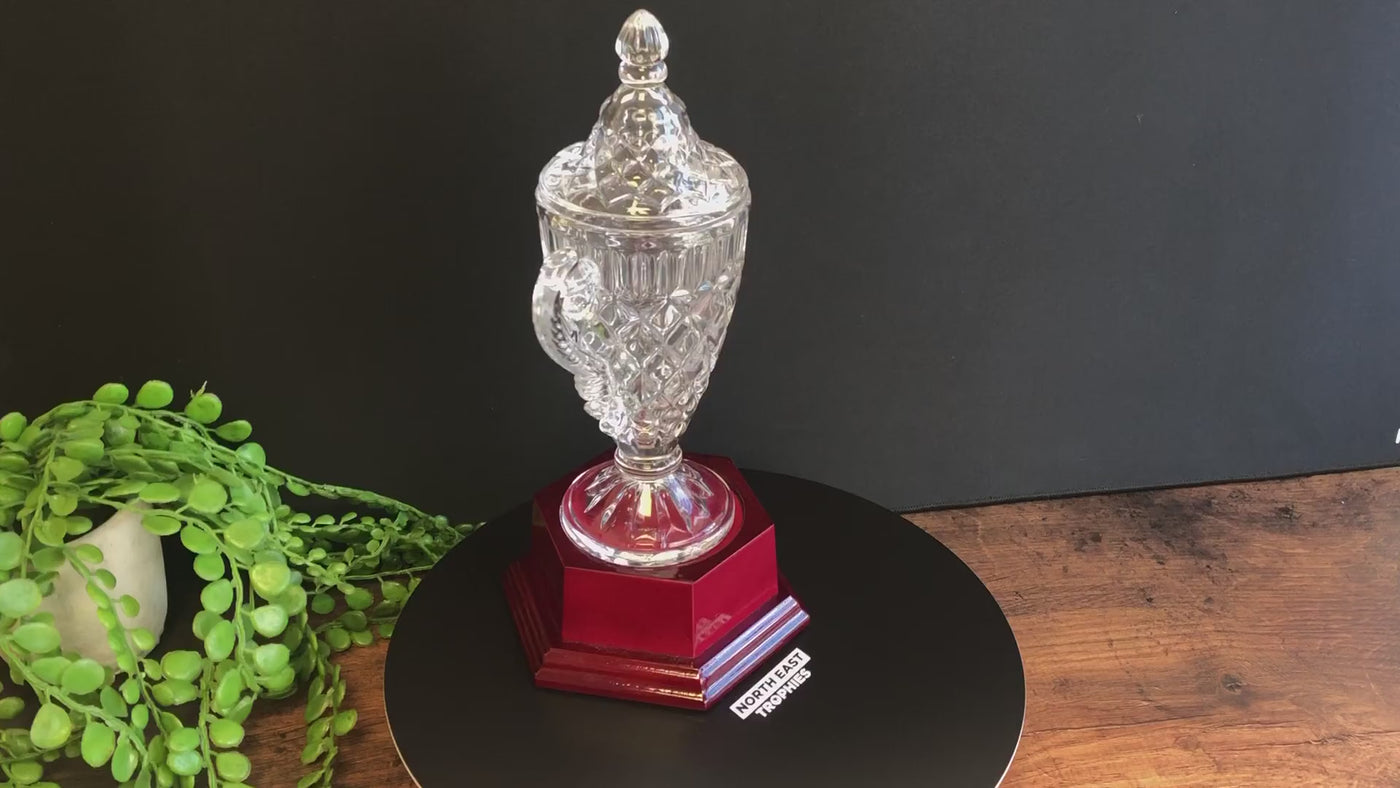 Crystal Champions Cup Trophy Award with Base