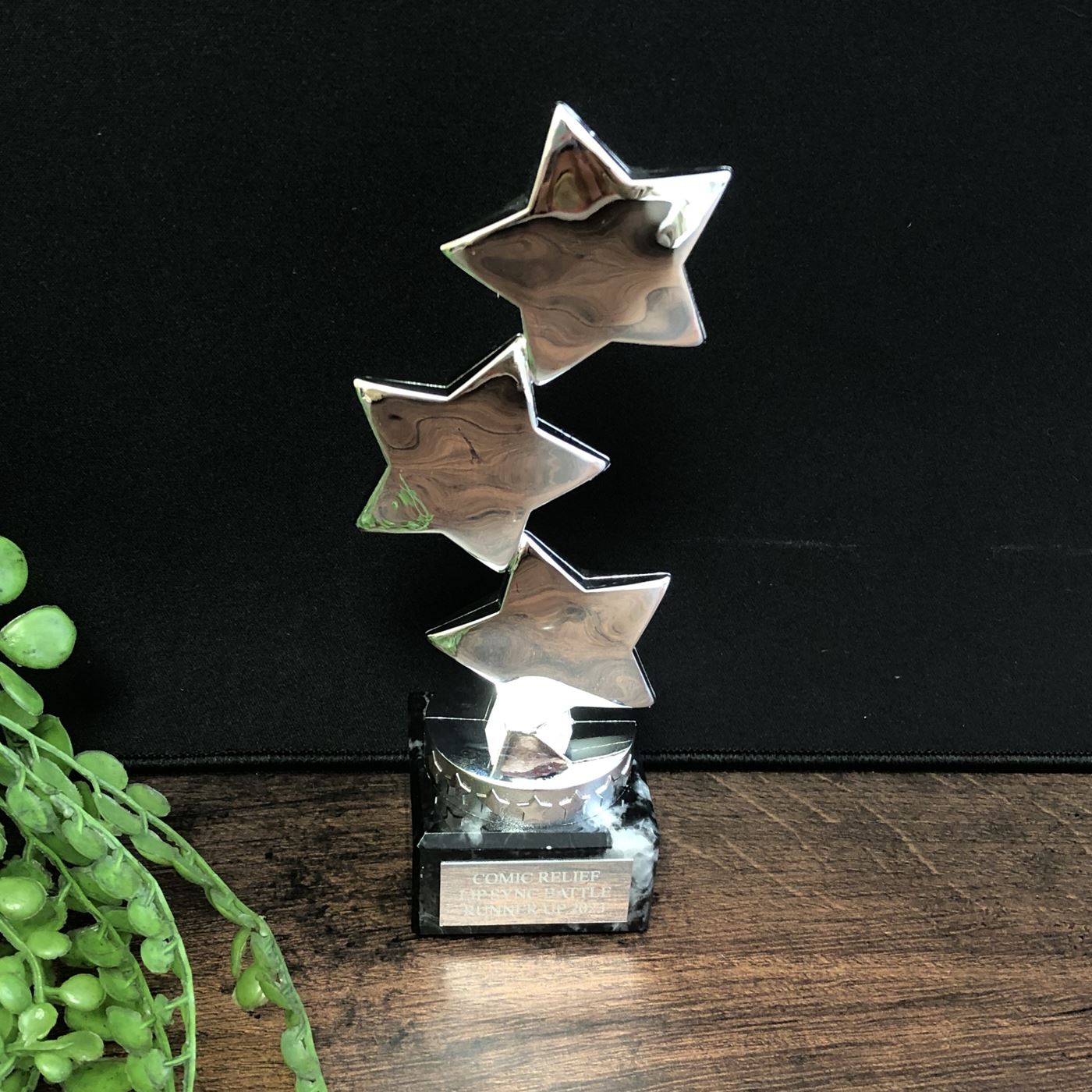 Silver Star Trophy Hope Stars Award