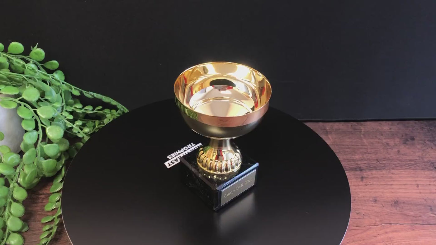 Budget Gold Winners Trophy Cup Berne Presentation Award