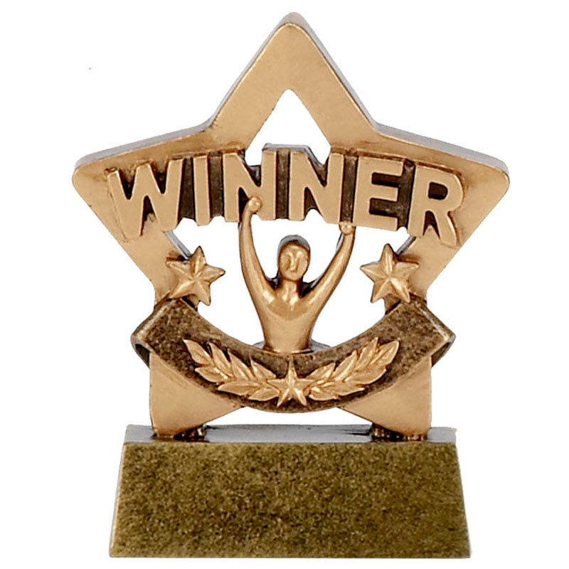 mini star trophy award winner