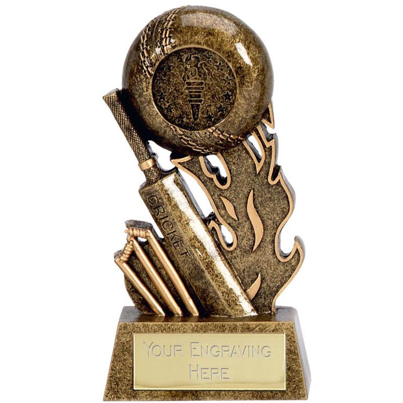 Gold Budget Cricket Award Scorcher Trophy